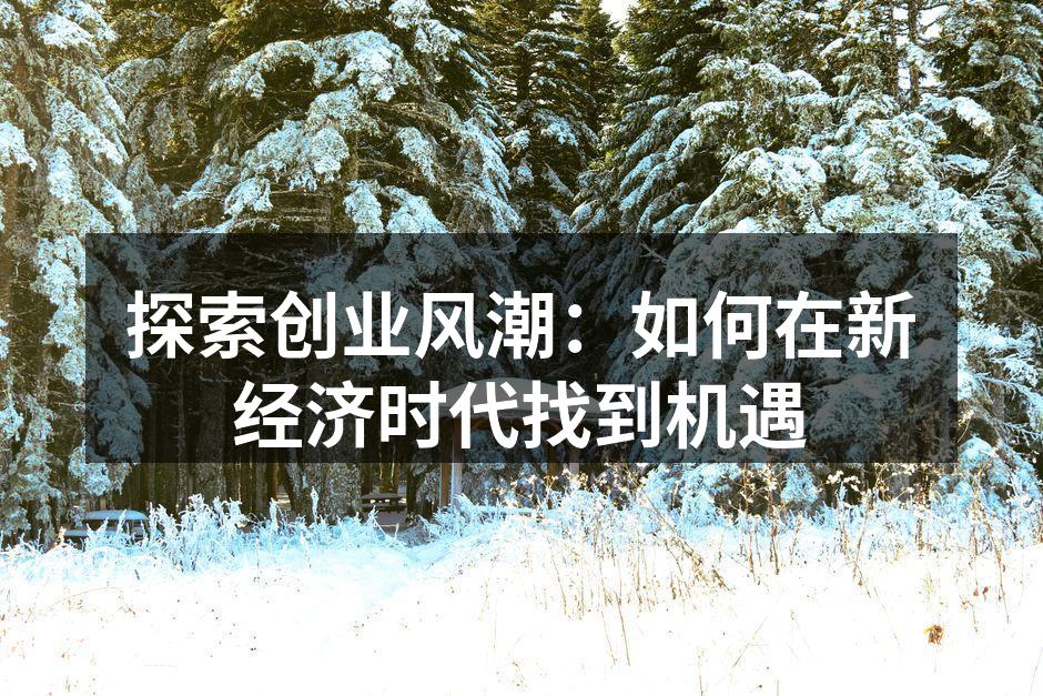 探索创业风潮：如何在新经济时代找到机遇